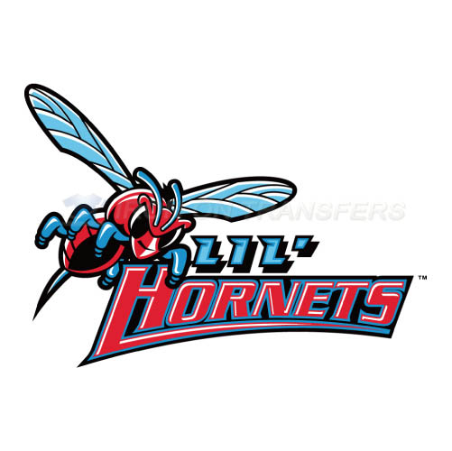 Delaware State Hornets Logo T-shirts Iron On Transfers N4246 - Click Image to Close